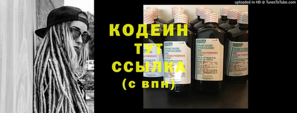 индика Приозерск