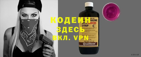индика Приозерск