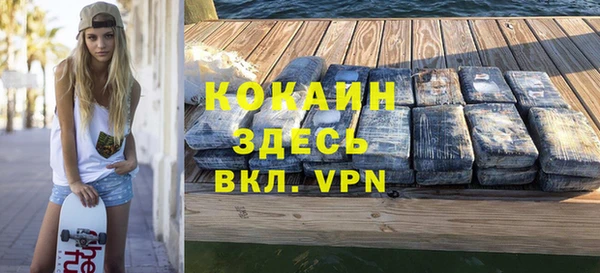 индика Приозерск