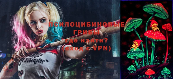 индика Приозерск