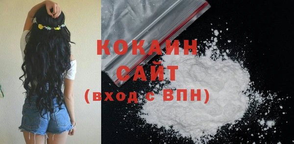 индика Приозерск