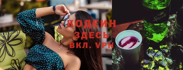 индика Приозерск