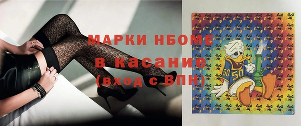 крисы Корсаков
