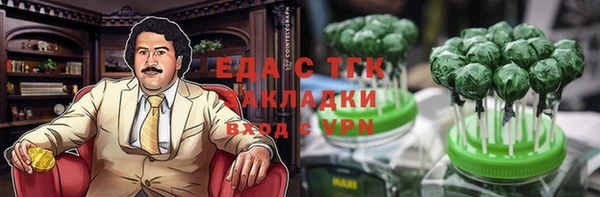 индика Приозерск
