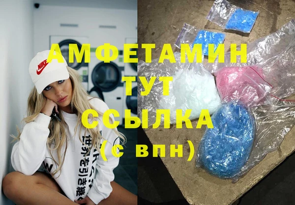 индика Приозерск
