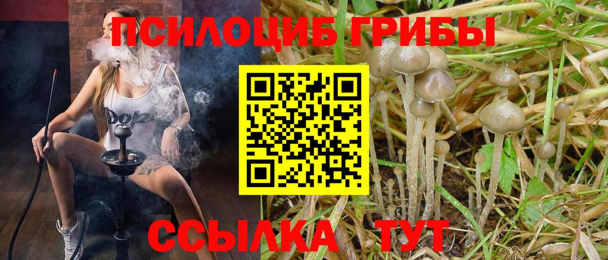Псилоцибиновые грибы ЛСД  Вход с VPN  Кушва 